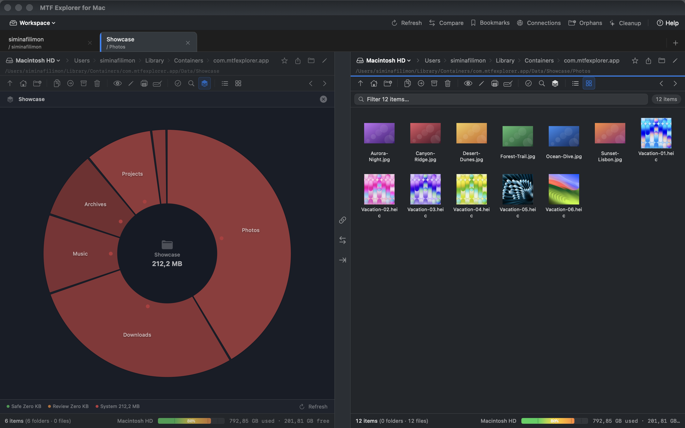 Interactive sunburst chart showing disk usage by folder